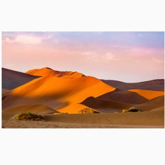 سعيد الكتبي - دورت عنك 2019