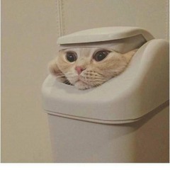 Omnicon [INTEASE CONTEST]