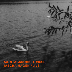 #085: Jascha Hagen *live - Montagssorbet mit Laut & Luise