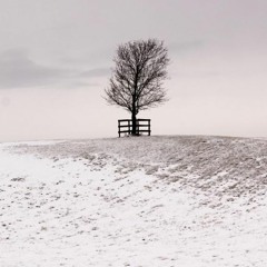 Les Côtes Enneigées
