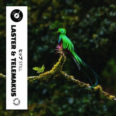 Laster - Still (ft. Telemakus)