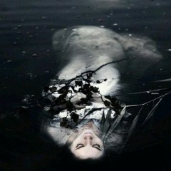 So close but so far away