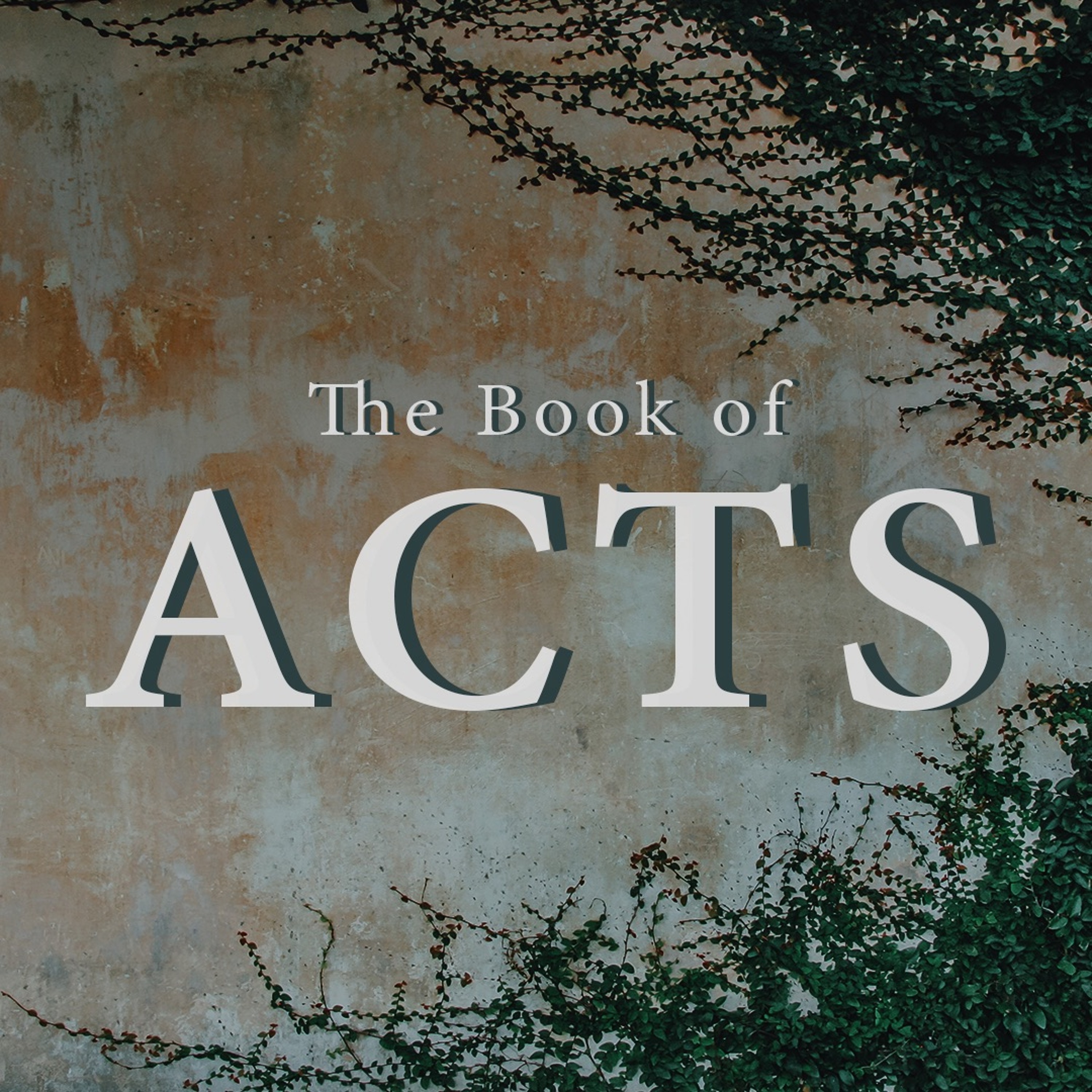 Persistent Discipleship Pays Off (Acts 19:1-20) episode artwork