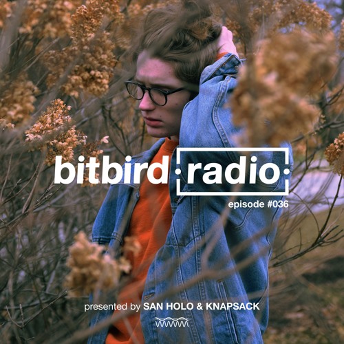 Stream San Holo Presents: bitbird Radio #036 w/ Knapsack by bitbird ...