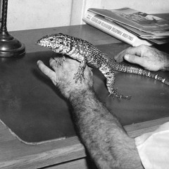 GOOD-14 - Vesu's 'List Of Lizards EP' Snippets