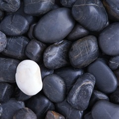 Sixteen Stones(2018)