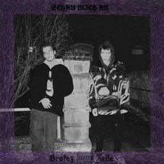 zusammen ist es leichter als allein ft. Zelle