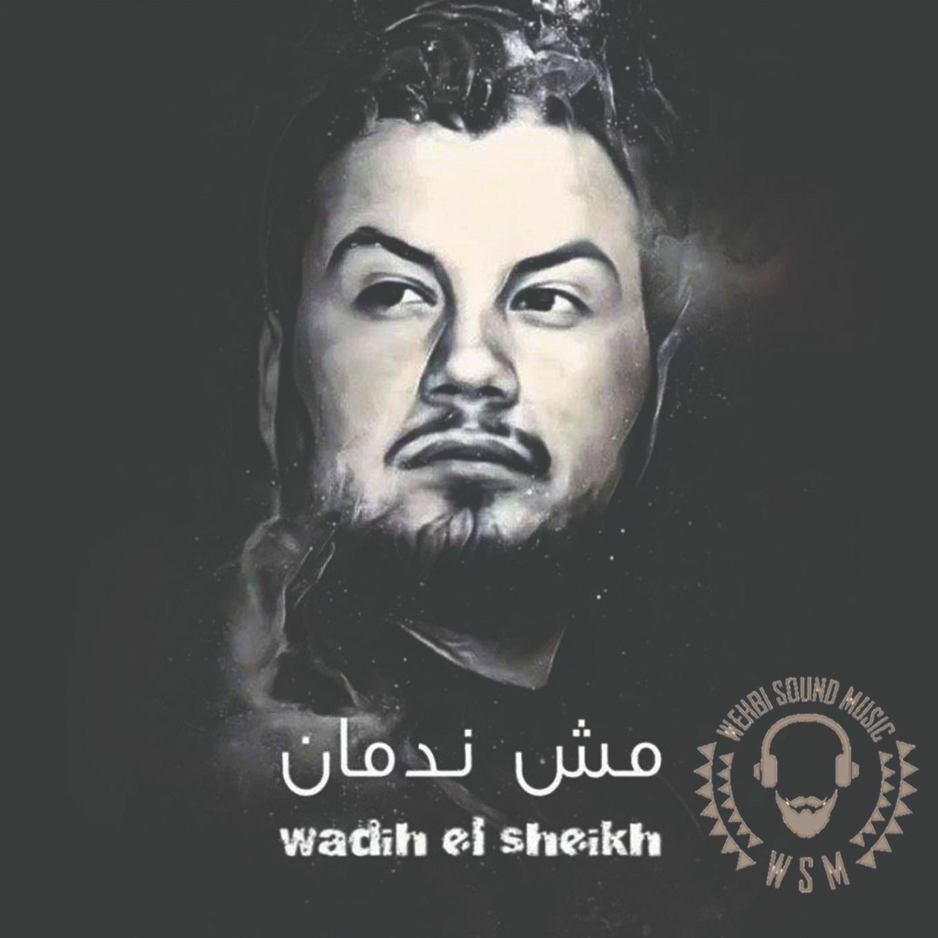 WSM WEHBI SOUND MUSIC