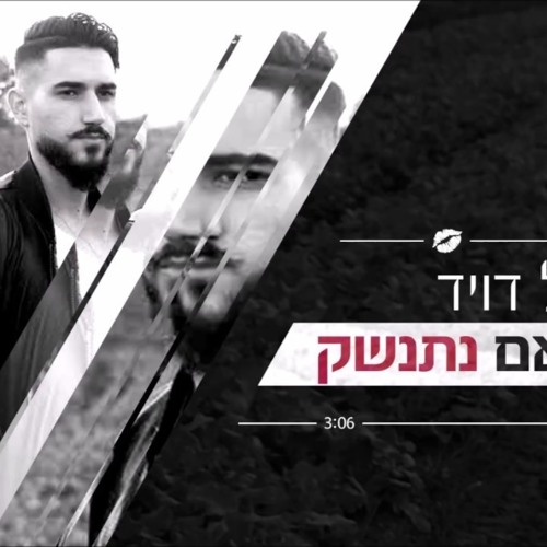 Ma Im Nitnashek Nathan Goshen Down Illusion Memotone