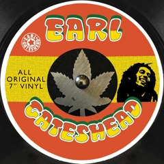 Bob Marley.......All Seven Inch All Vinyl Mix