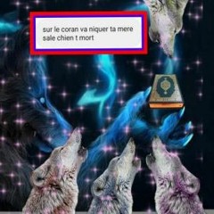 SurLeCoranNTM