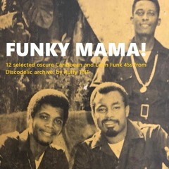 FUNKY MAMA! - 12  selected rare 45 rpm from Ruffy DISCODELIC archive