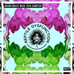 Discogrooveshizz