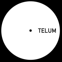 Telum 004 - Unknown Artist - Untitled B1