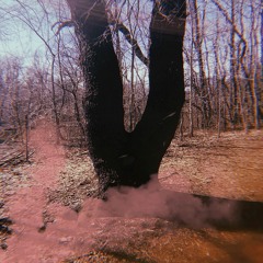 Disagree [Prod. by Secret]