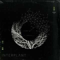 ORB007 LP - ORBE - INTERPLANT (3X12")