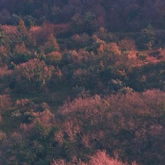 yesterday everything was fine