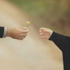 السعادة الزوجية بين الواقع والتصور الهوليودي - د.عبد الرحمن ذاكر الهاشمي