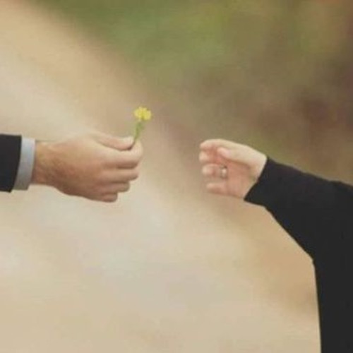 السعادة الزوجية بين الواقع والتصور الهوليودي - د.عبد الرحمن ذاكر الهاشمي
