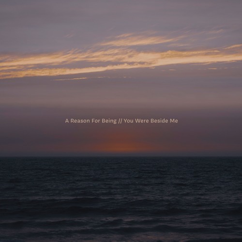 A Reason For Being