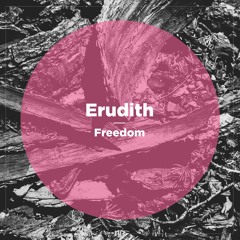 Erudith - Freedom (Snippet) | NBR074