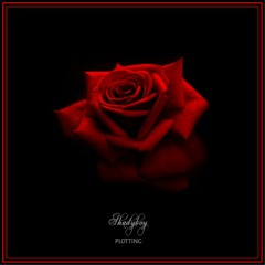 Shadyboy - Feelings