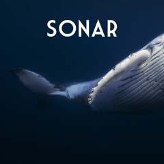 Sonar (Original Mix)
