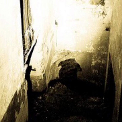 Blokkmonsta - Hostel