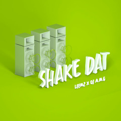 Leemz & DJ A.M.G - Shake Dat