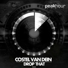 Costel Van Dein - Drop That (original Mix)