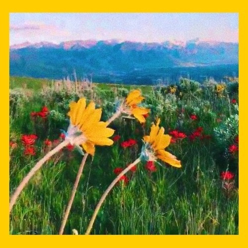 Tyler the creator - perfect / alone *cover