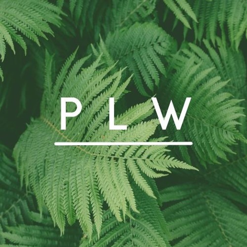 SESH TUNE  (P L W)