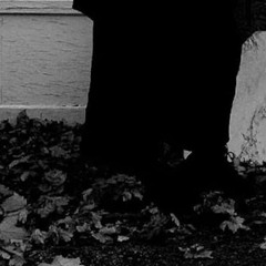 AUTUM/NIL/ [MIXTAPE] (2015)