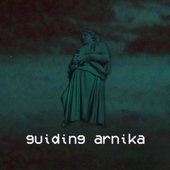 guiding arnika [saikik sample challenge]