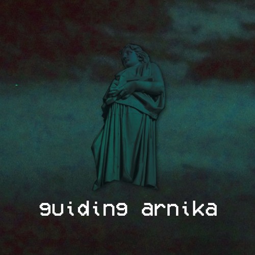 guiding arnika [saikik sample challenge]