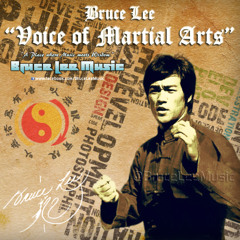 Voice of Martial Arts