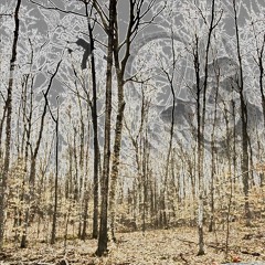 I MAY NEVER CHANGE MY WAYS (PROD. OG $AMURAI)