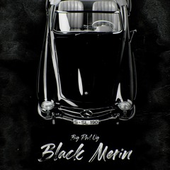 BLACK MERIN