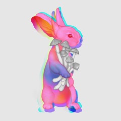 Open Source - Rapid Rabbit