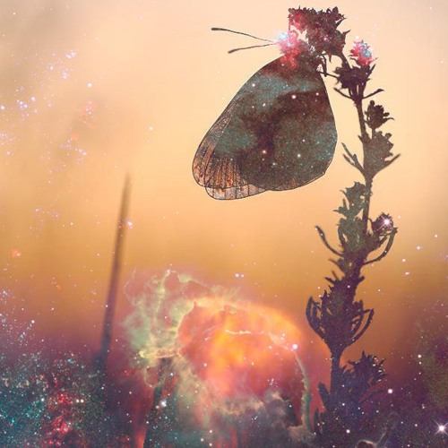 Starcross - Vernality