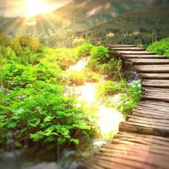 מדיטציה לילדים - תרגול יומי קצר 5 דקות