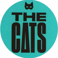 M.W @The Cats Techno Maskenball Set