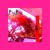 Artwork for Lounge Comp. V.143 (Morning Edition)