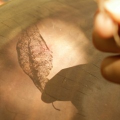 Tan - Doãn Hoài Nam (cover)