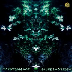 Tryptophant - Salix Lacrimosa EP - Visionary Shamanics Records