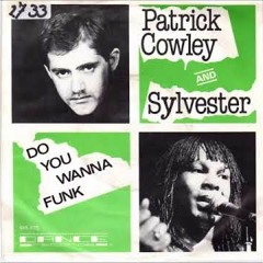 Remix Patrick Cowley Ft Sylvester Do You Wanna Funk Remix By Dj Nilsson 7QuBGuMvff8 360p
