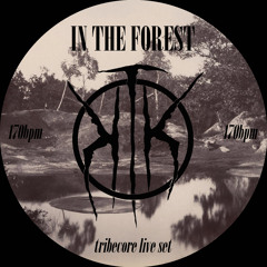 IN THE FOREST