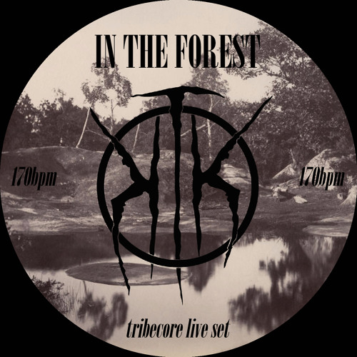 IN THE FOREST