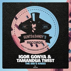 PREMIERE: Igor Gonya & Tamandua Twist - The Bee's Knees (Platzdasch Feels It rmx) [Gents & Dandy's]