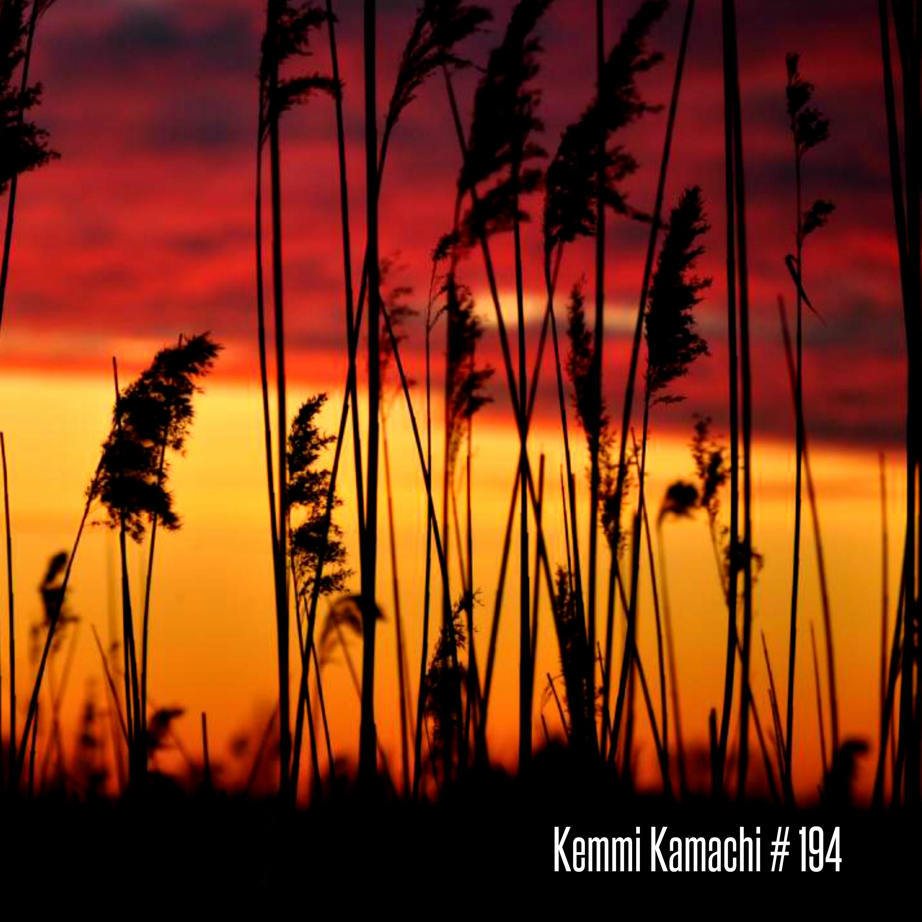 Kemmi Kamachi